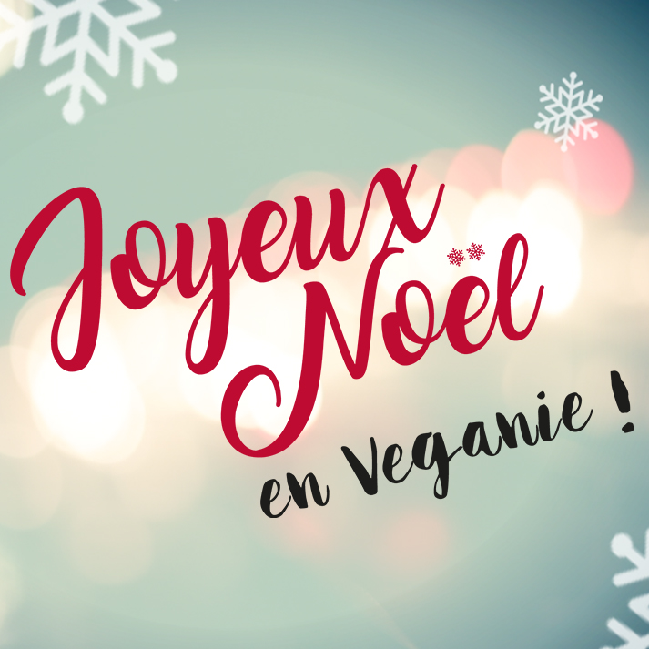 Joyeux Noël en Veganie ! 10 Recettes Vegan pour les fêtes